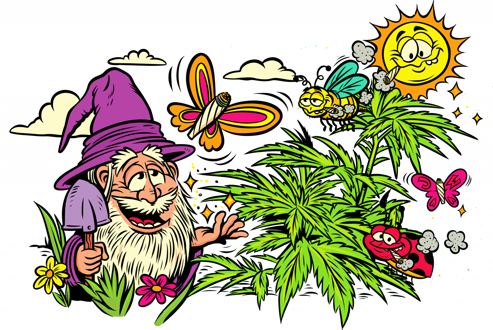 Seeds Archives Jelly Wizard Cannabis